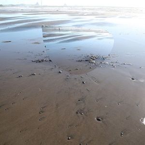 Meet your Posher, Eva